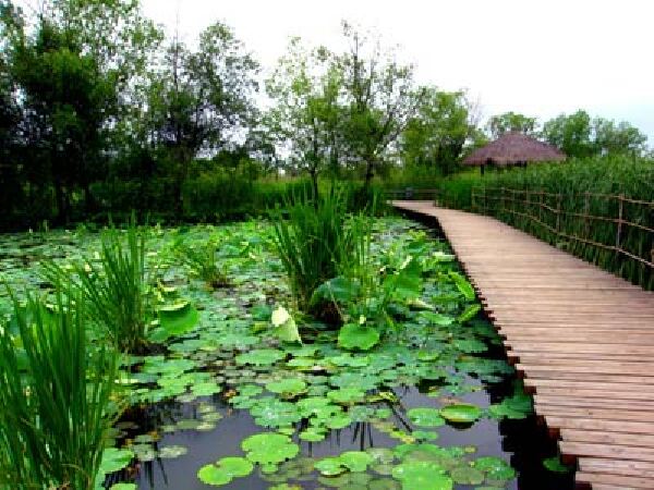 <杭州西溪悦榕庄4日自助游>国际品牌，江南风韵，特色SPA