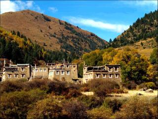云南香格里拉組團旅游_報團去云南香格里拉多少錢_云南香格里拉旅游多少錢