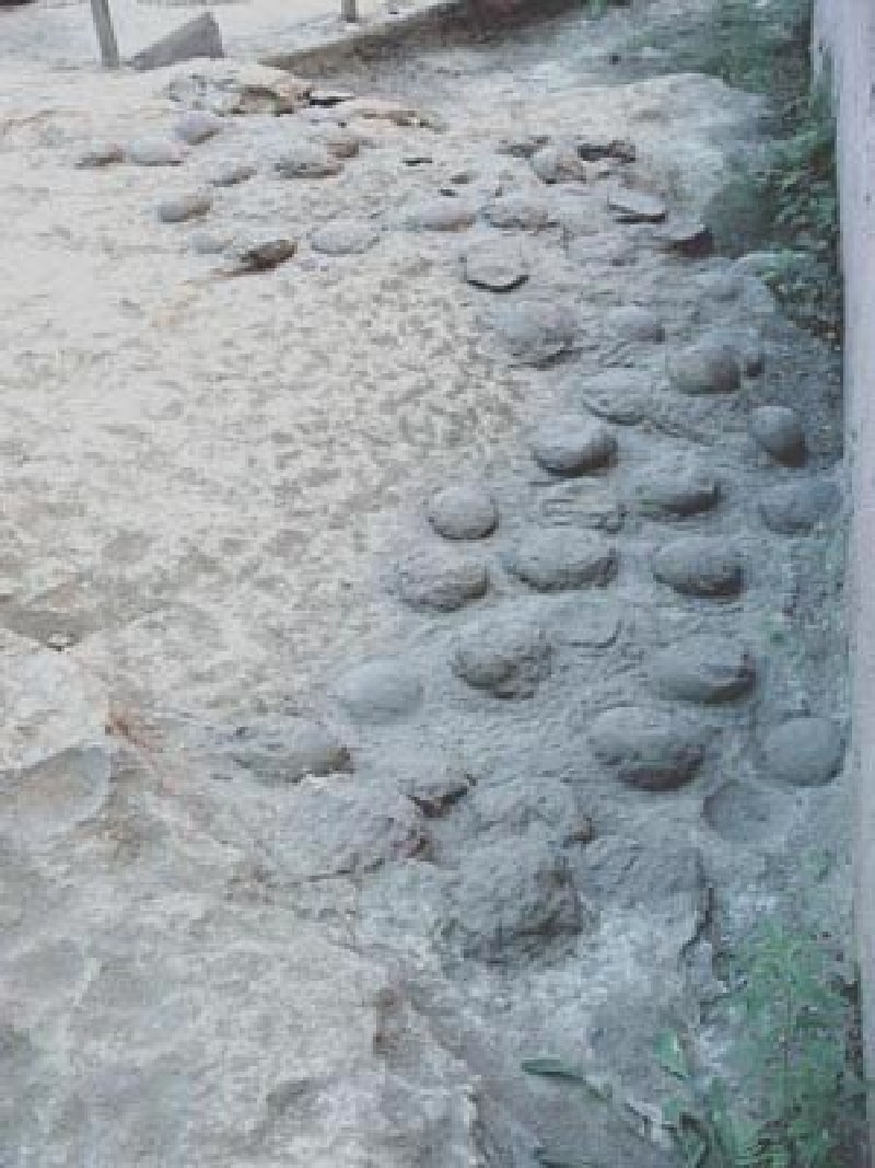 郧县旅游攻略2015_ 郧县自助游攻略_郧县哪有