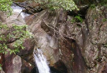 大历山风景区图片