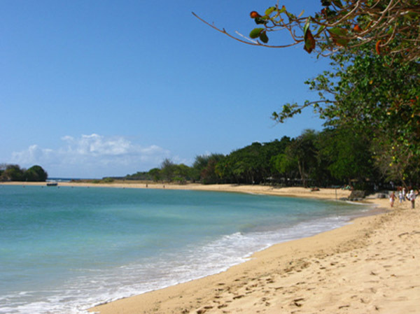 <巴厘岛1日包车>单订车，车+Wifi，车+导游，车+Wifi+导游