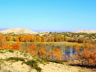 去新疆旅游多少錢_跟團新疆游價格_旅行團新疆游
