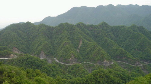 ũũ羰
