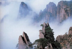 景点模块 