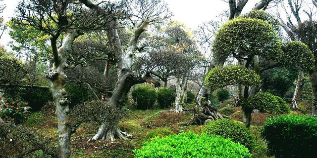 天香园风景图片