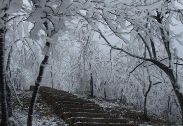 金鼎山