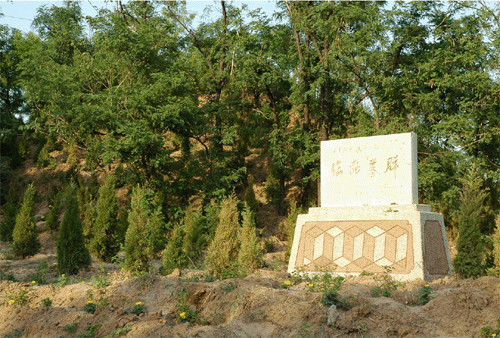 20195ȥĶ_ξȫ