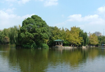翠湖公园小岛