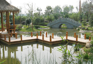 南京中国绿化博览园假山