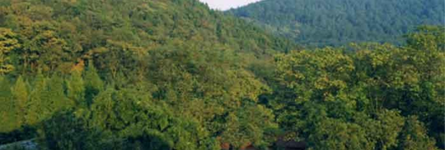 天井山国家森林公园
