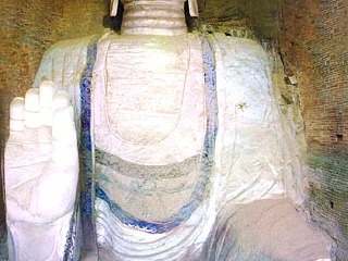 شɽ羰