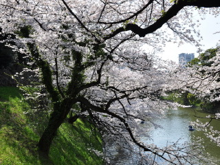 暑假日本游價(jià)格_日本旅游需要多少錢_廣州日本旅游團(tuán)