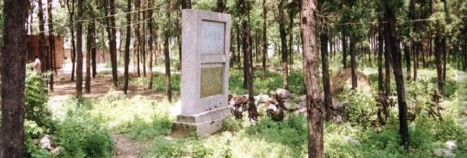 淮南旅游景点 寿州窑遗址旅游攻略
