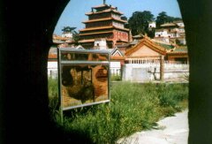 景点模块 