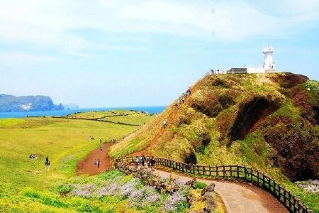 <济州岛一地5天4晚跟团游>HO航空上海直飞、餐食升级、一天自由活动、含送影子秀
