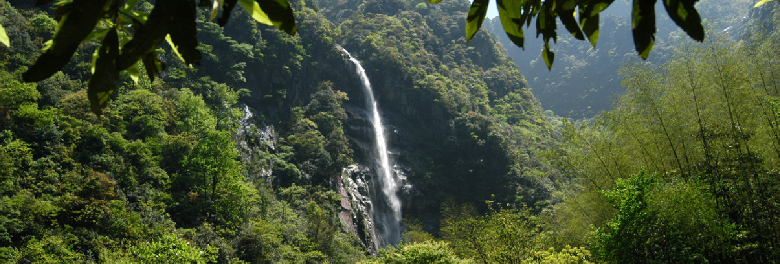 明月山国家森林公园