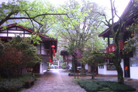 <武夷山高铁3日游>厦门出发舒适酒店，含九曲溪竹筏漂流