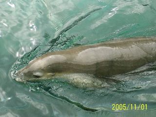 悉尼水族馆旅游攻略_2014悉尼水族馆自助游攻略