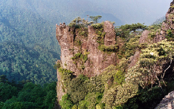 【2019】3月去松阳县哪儿最好玩_松阳县旅游
