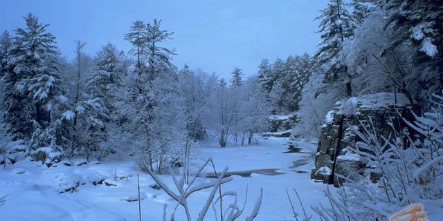 【林海雪原图片】甘井子区风景图片_旅游景点照片_途牛