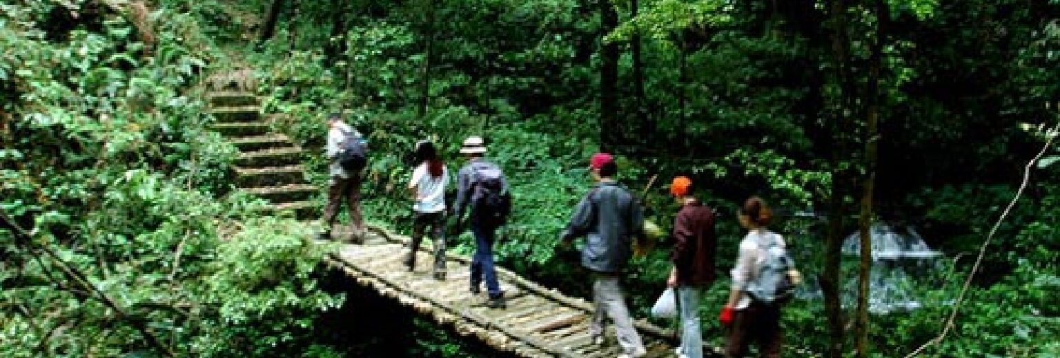 车八岭国家级自然保护区旅游攻略