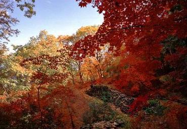 桓仁五女山风景区