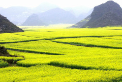 景点模块 