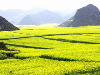云南昆明旅游團(tuán)報(bào)價(jià)2021_云南昆明旅行團(tuán)_以往國慶云南昆明游價(jià)格