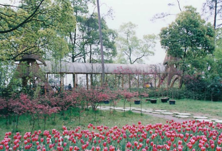 重庆南山植物园门票价格-重庆南山植物园门票预订-园