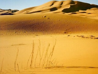 至摩洛哥跟团游_摩洛哥旅游游轮_去摩洛哥旅游费用多少