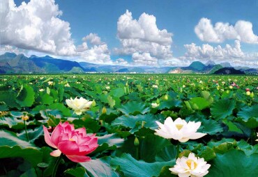 砚山浴仙湖