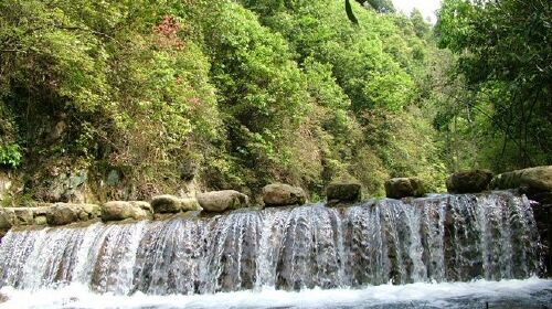  临安西天目山-太湖源自驾2日游>宿临安华悦松泉度假酒店