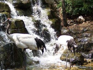 大連游花多少錢_香港旅游團大連_大連旅游多少錢