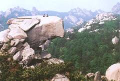 景点模块 