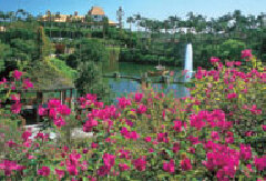 冲绳东南植物乐园 景点模块