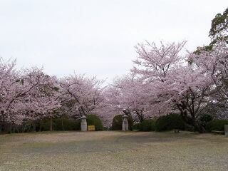 日本旅游_10月日本旅游_日本旅行社