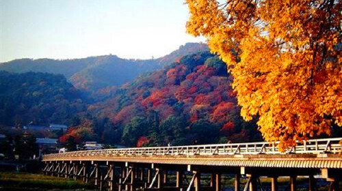 日本--大阪-京都-富士山-东京-忍野八海-地震体