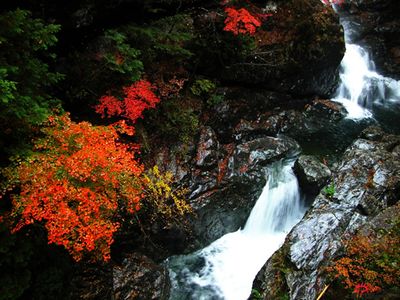 【2018】8月去通化哪儿最好玩_通化旅游景点大全_通化