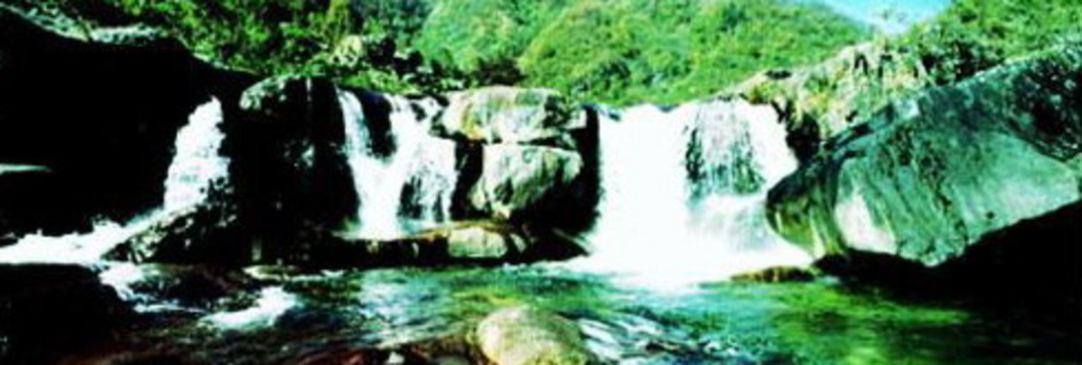 长青自然保护区1