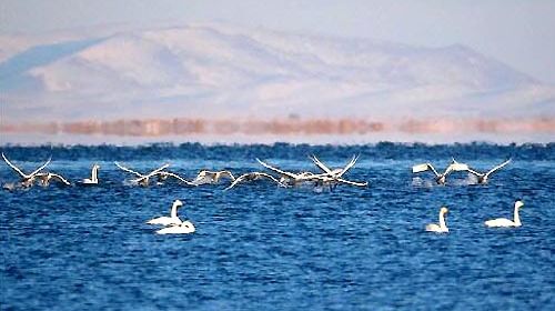 西北银川-苏海图湖-太阳湖-月亮湖4日游>徒步腾格里沙漠(当地游)