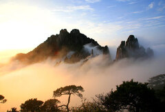 景点模块 