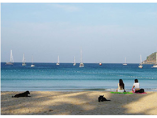 <普吉岛5晚7日自助游>卡伦海滩酒店精选，上海往返