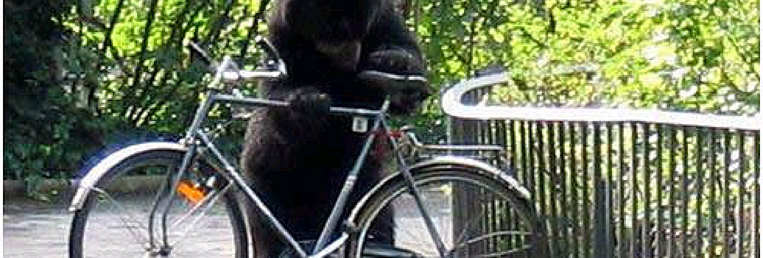 【2017】柏林动物园旅游攻略_柏林动物园自助