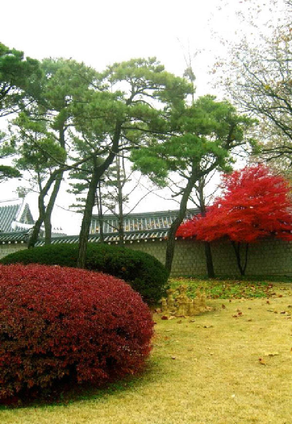 【关闭】【来自星星的你】