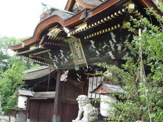 深圳到日本旅游報價_日本半自助游_到日本旅游多少錢