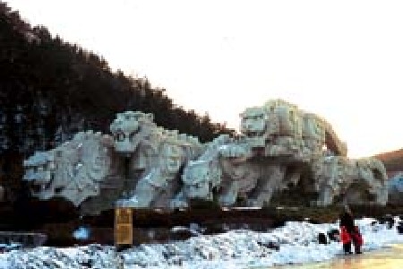 <大连-老虎滩极地馆-金石滩-棒槌岛动飞4日游>0购物，金石滩，老虎滩，感受浪漫大连