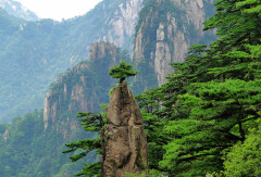 景点模块 