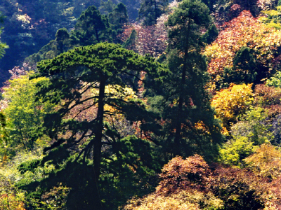 e0017f87_w400_h300_c1_t0.jpg