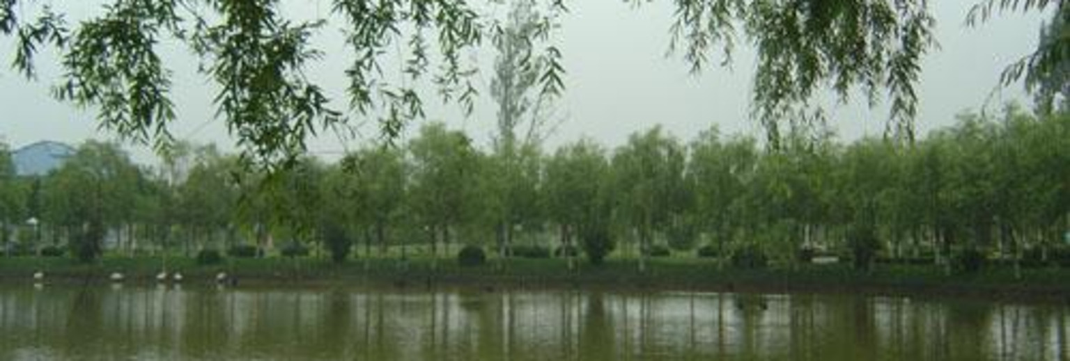 上海申隆生态园1