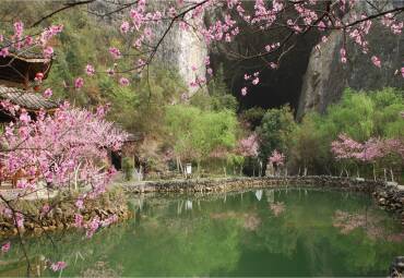 桃花源风景